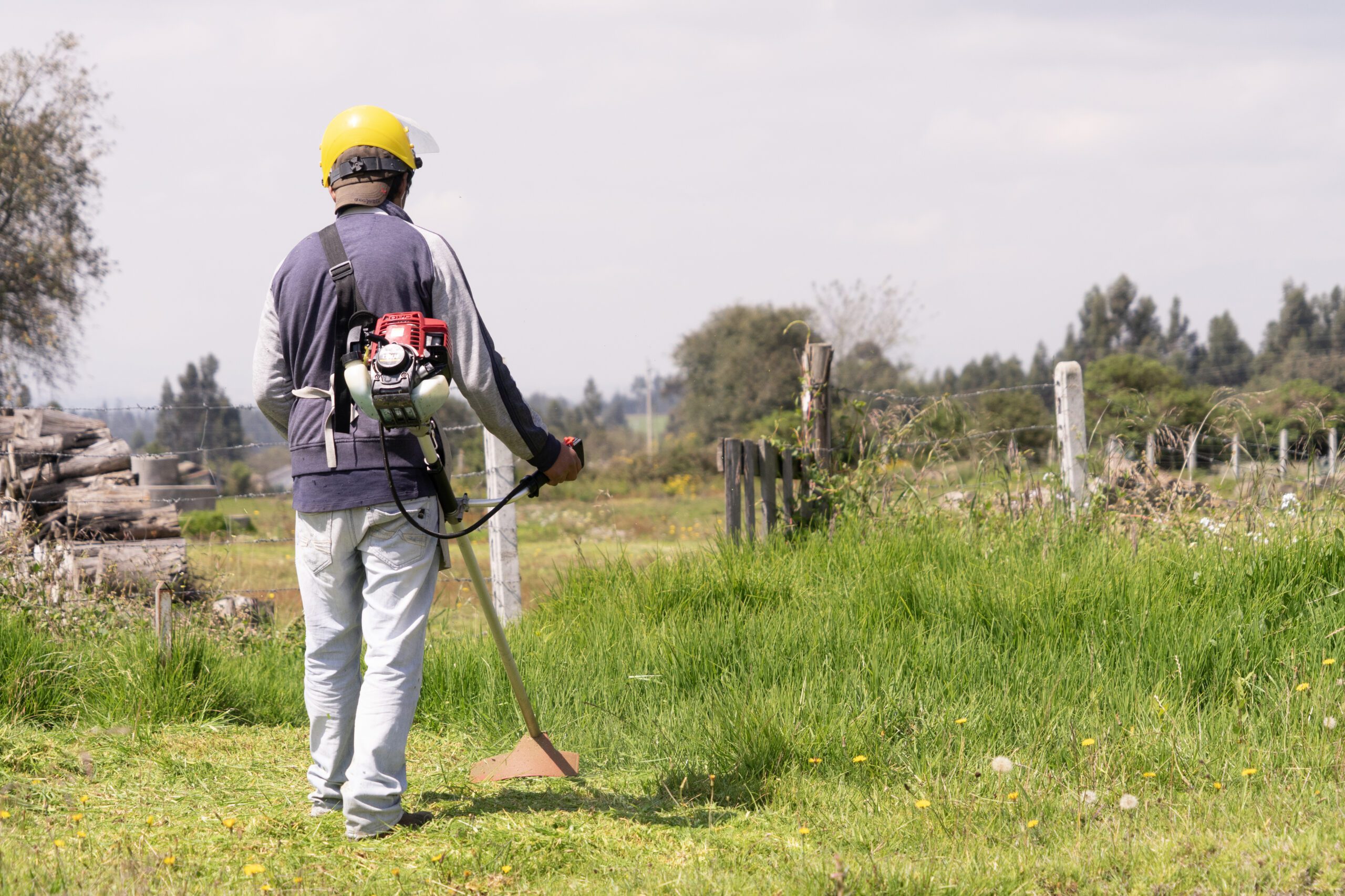 rocagem-area-verde-scaled